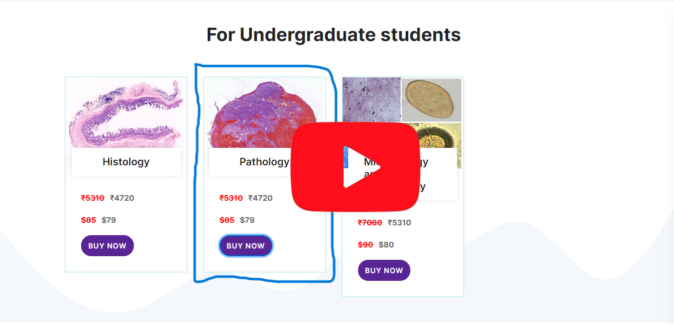 Watch Pathology Digital Slides Set (Basic Pathology & Pathological Processes)